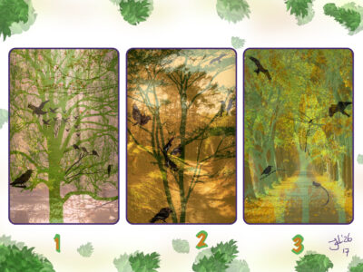 Cards 26 April – 3 May